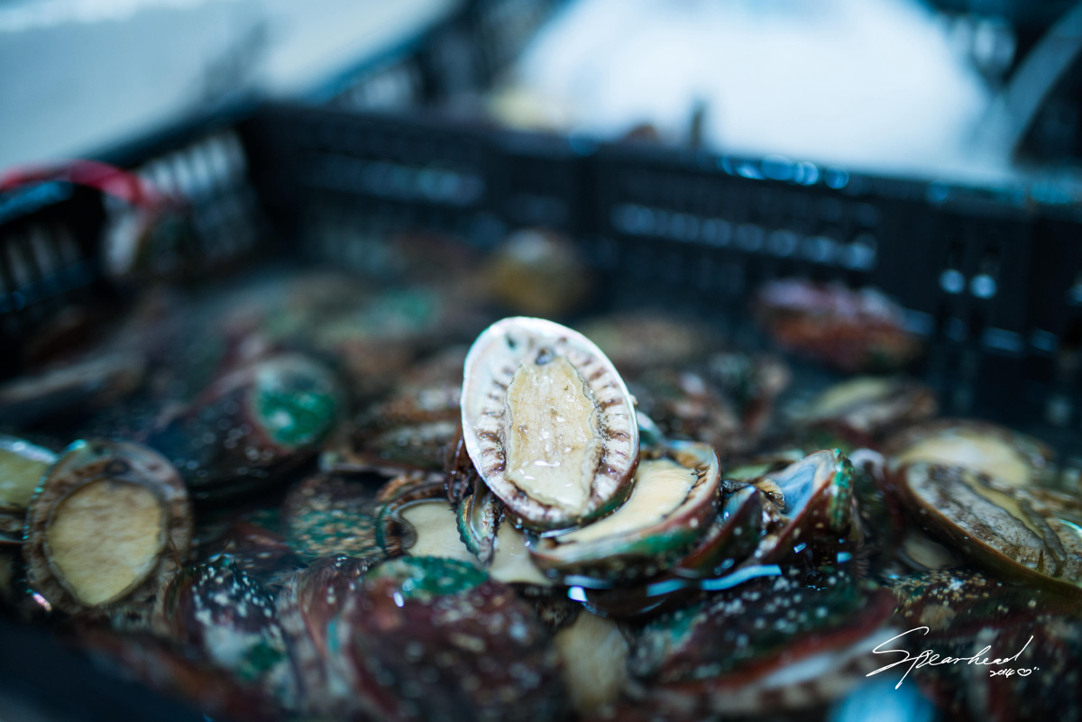 速扫青石桥海鲜市场