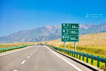26009