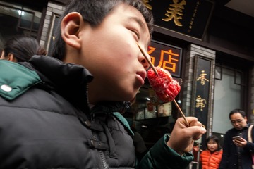 04DSC05203