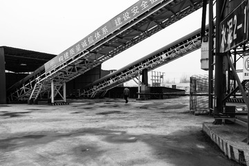 11-DSC04537