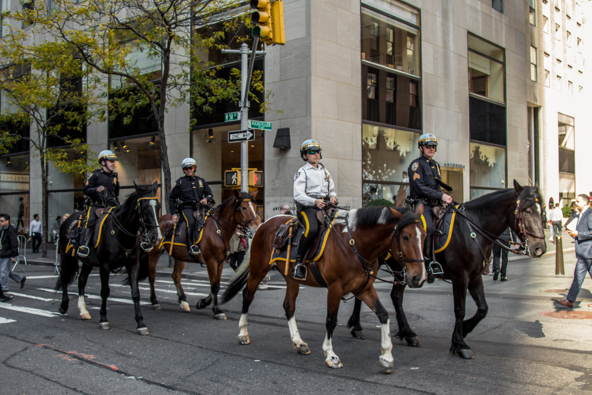 纽约街头的骑警