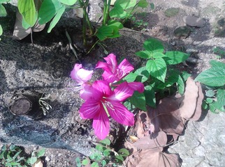 IMG_20130529_141029