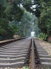 P1010002