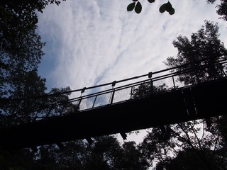 P1010005