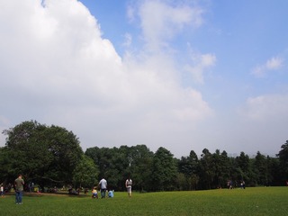 P1010065