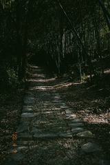 BA0A3162-84AD-4E4C-AAFD-5C96D9634B52/L0/001