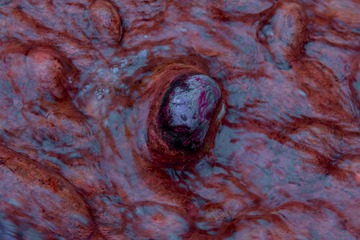 1572058