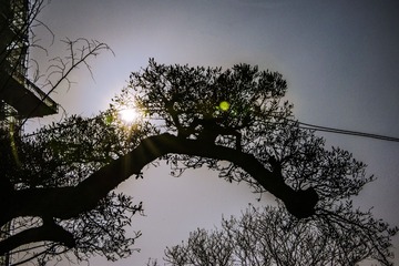 1454771