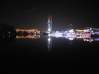 纵纹腹小鸮