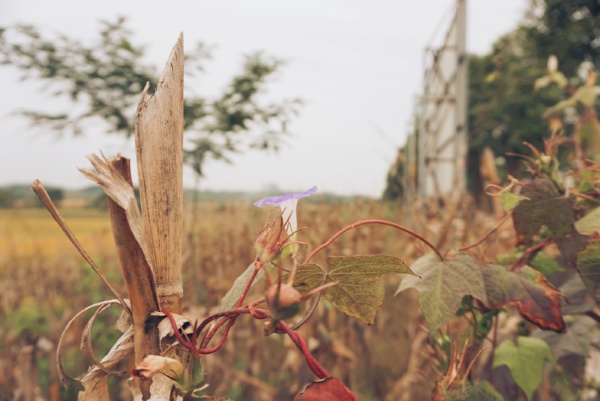 得之坦然,失之淡然