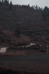 2173185
