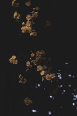 30512