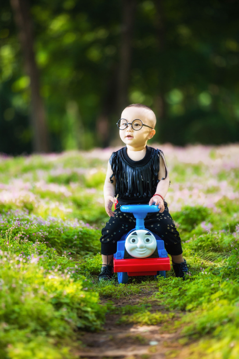 会学光头强的孩子