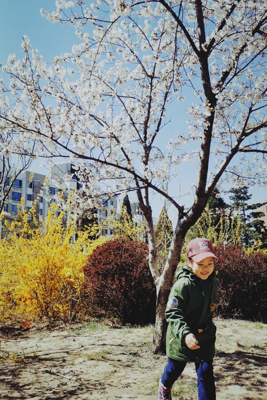 生活碎片记录美好家庭相册