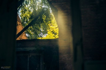 DSC_1341-2