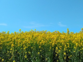 45750