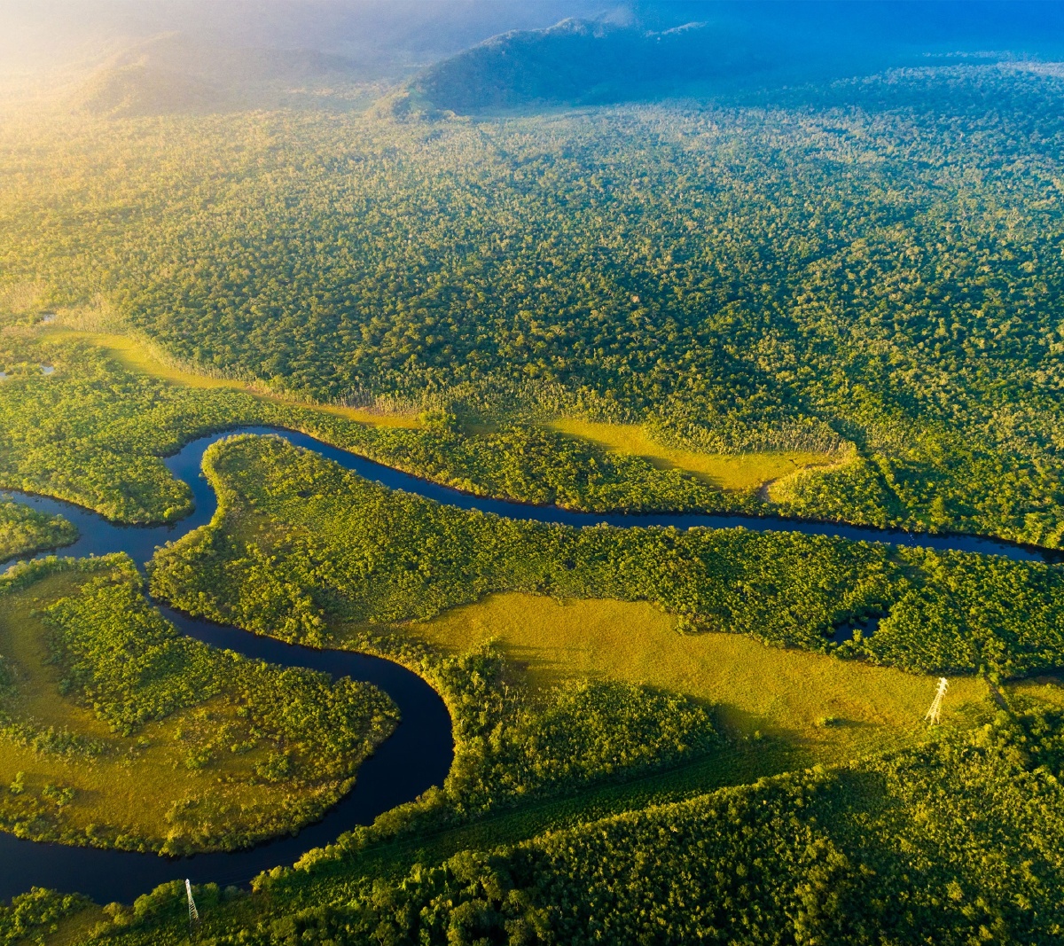 地球之肺热带雨林
