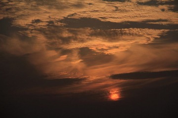 DPP_0014