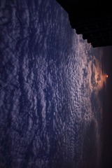 DPP_0018