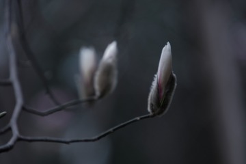1B950E71-D69E-4788-82F0-1E0B12E25345/L0/001