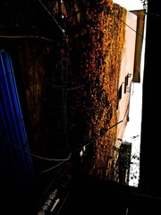 R0014200