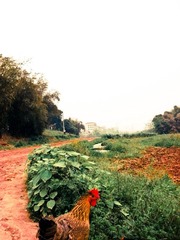 R0014699