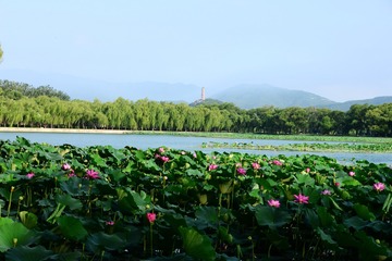 贡嘎山