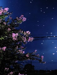 夜童话~~