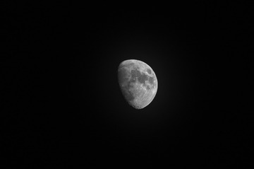 PC200382-2-1