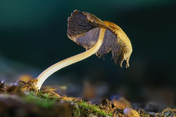 1078330