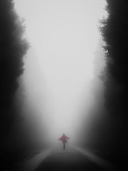 AB733E73-4297-44CA-A86C-C8FCA61B99F2/L0/001