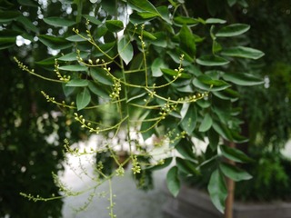 P1000538