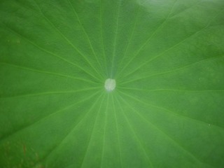 P1000555