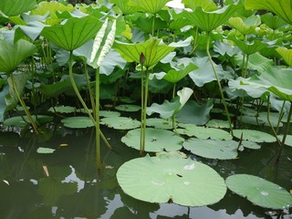 P1000566