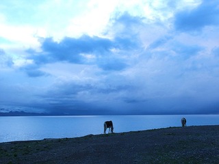 IMG_0995_
