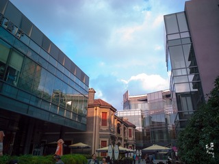 CF003547