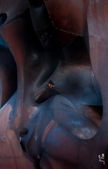 CYD_0066