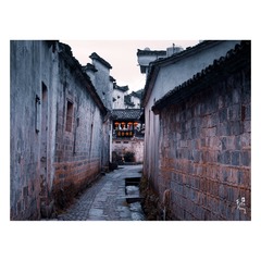 20100210_106