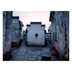 20100210_116