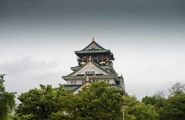 _DSC0576