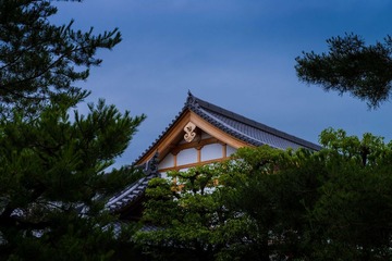 _DSC0880
