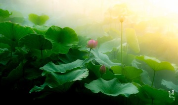 P1020391
