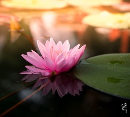 P1020418