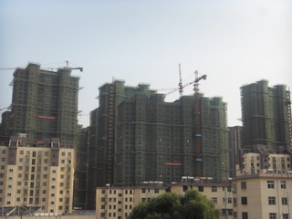 SDC10085