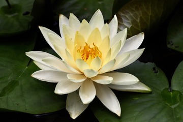 2B10F861-BEE2-4D4B-B0B9-B1C9A1D76F2A/L0/001