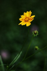 63F26D81-FB4F-4279-954F-CDE5134C7BB5/L0/001
