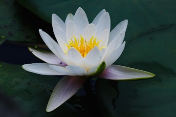 D3D11A7D-7588-49F1-923A-BD8DC491DA86/L0/001