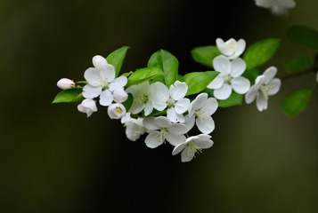 C75739B7-BC83-47CC-B3F1-D0FA73CCD1A1/L0/001