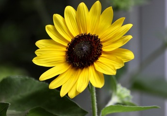 0E3D3727-84F4-4AF8-8396-A4170386BA01/L0/001