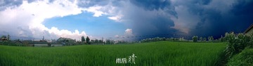 雨后晴2